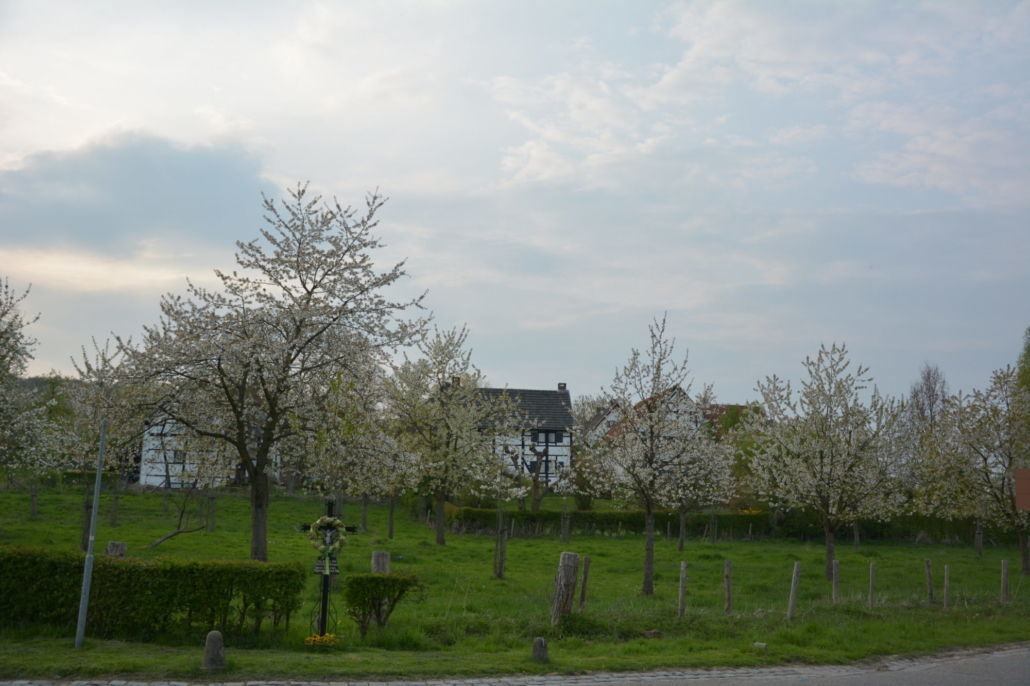 Vakwerkhuis in omgeving Epen 4