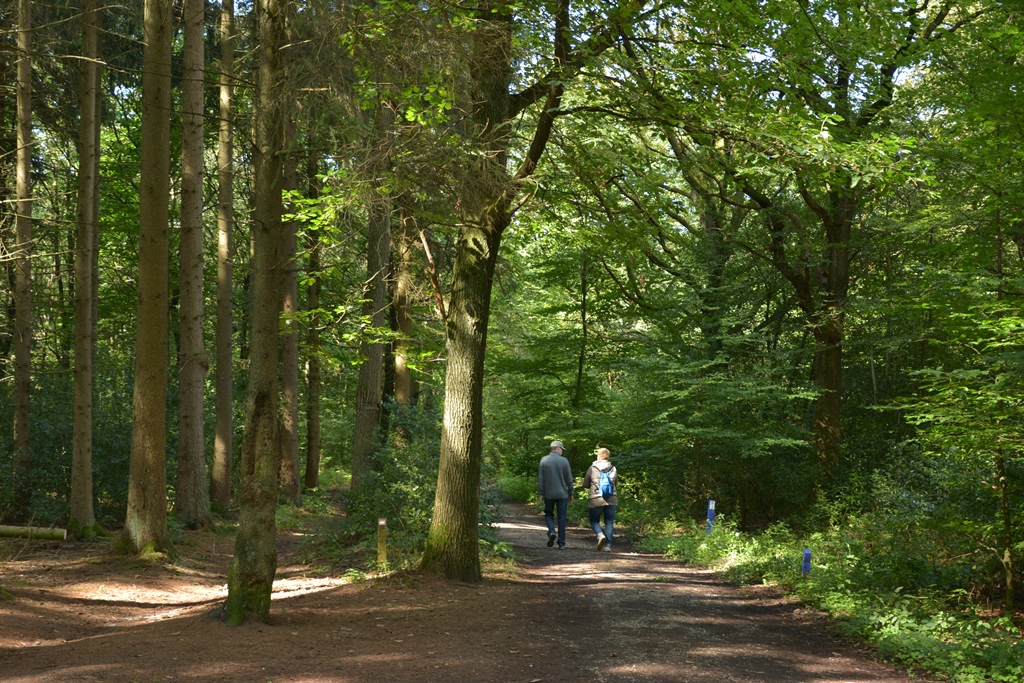 wandelen-bij-Ons-Epen 3