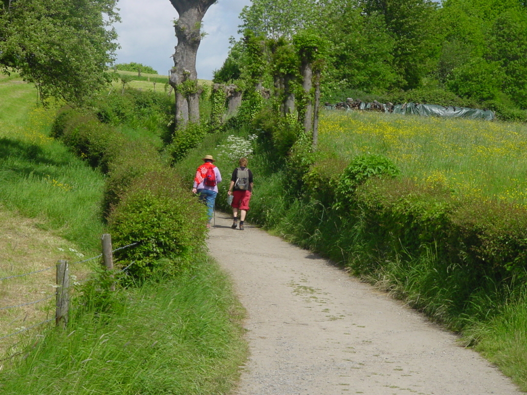 Holle weg wandeling