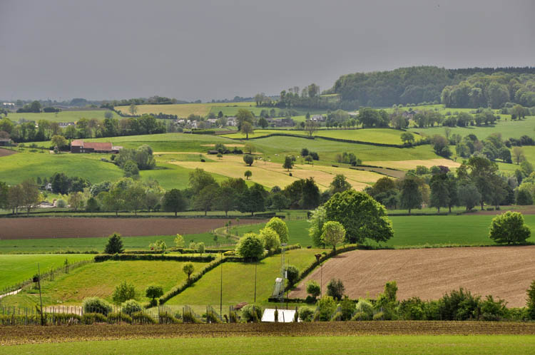 heuvels - landschap