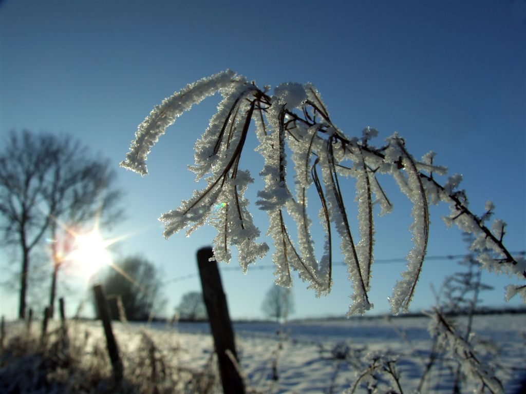 Kerst in het Heuvelland 1