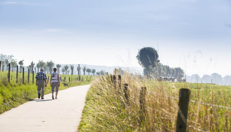 Wandelen door het Heuvelland