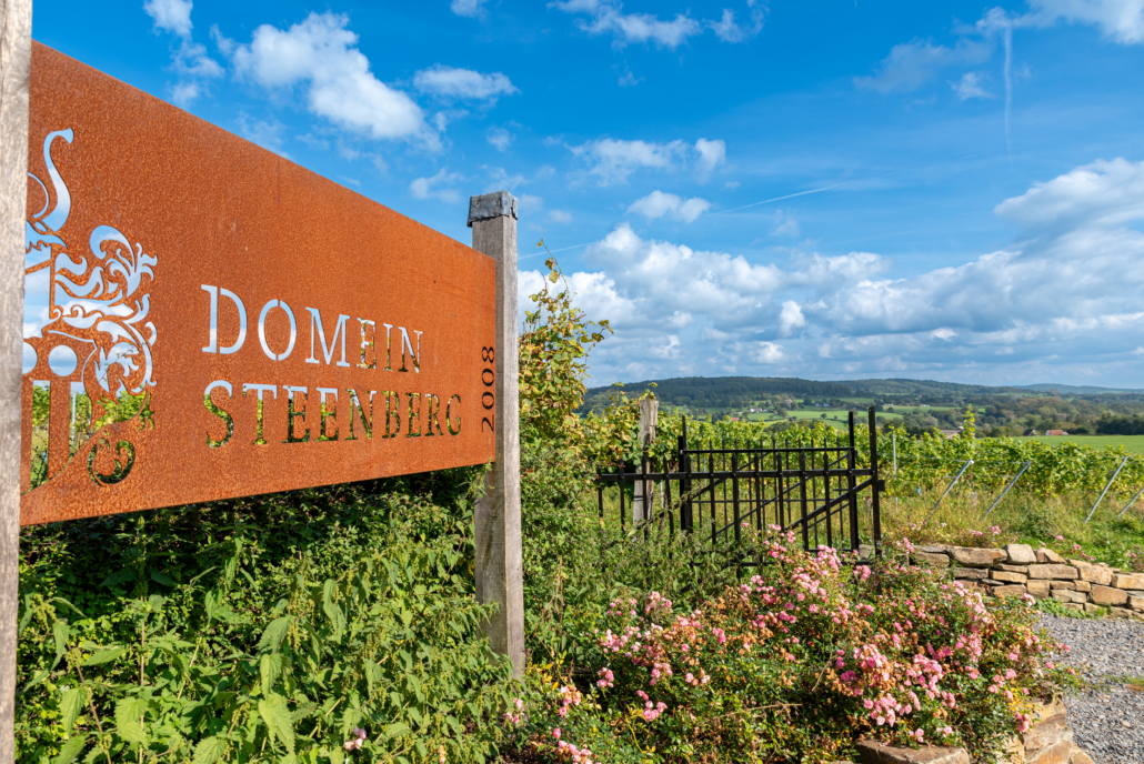Domein Steenberg wijngaard 1
